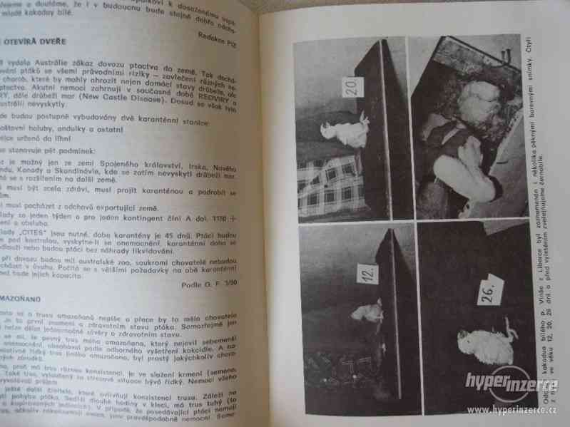 Příloha Informačního zpravodaje 1982 - 1991. - foto 8