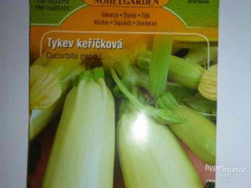 Tykev-Kveta /Semena: www.rostliny-prozdravi.cz - foto 1