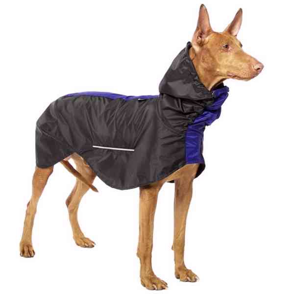 Úplně nová pláštěnka a svetr pro psy - foto 1