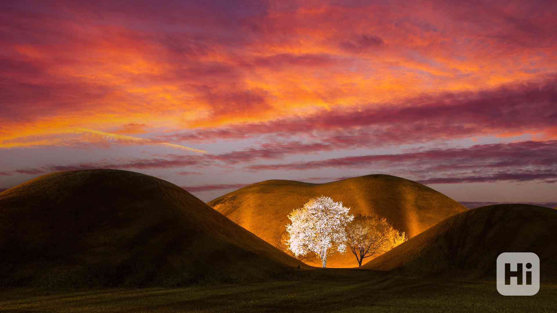 chelsea vs barcelona - foto 1