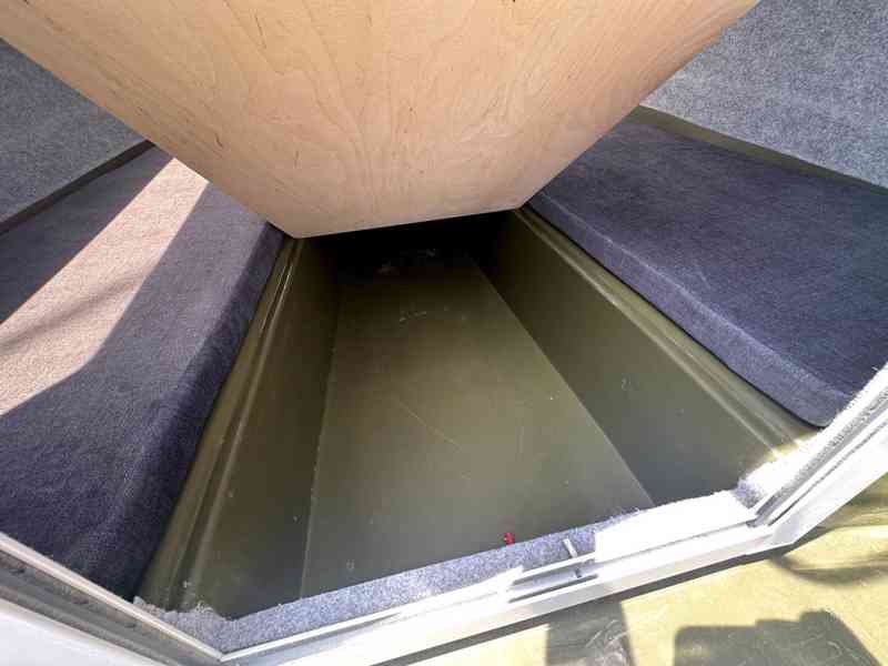 India 431 + Mercury F 10 EFI EL - foto 10