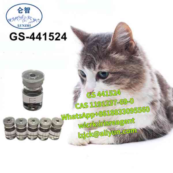 fip cat GS441524 / gs-441524 / gs 441524 fipv treatment Chin - foto 3