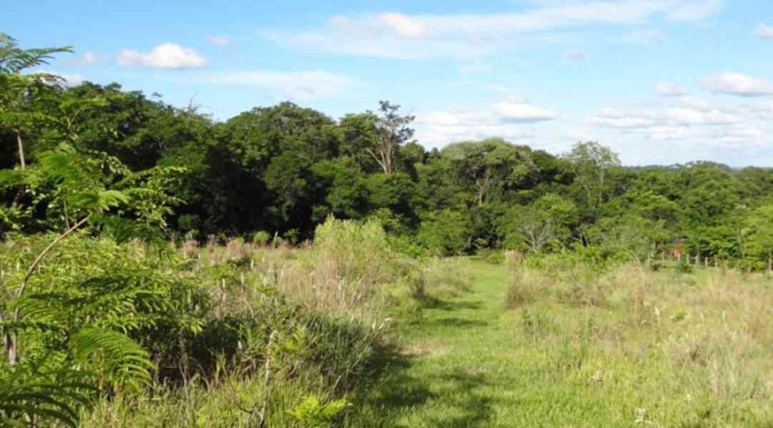 Finca mit großem Grundstück in ruhiger Lage in Sapucai / PY - foto 8