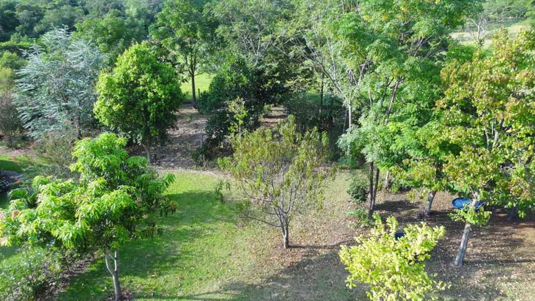 Finca mit großem Grundstück in ruhiger Lage in Sapucai / PY - foto 7