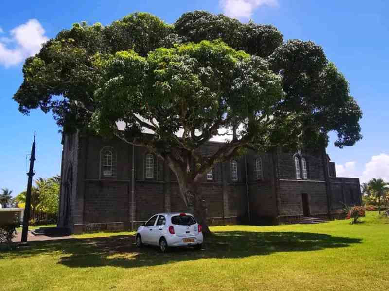 Don personnel  - foto 2