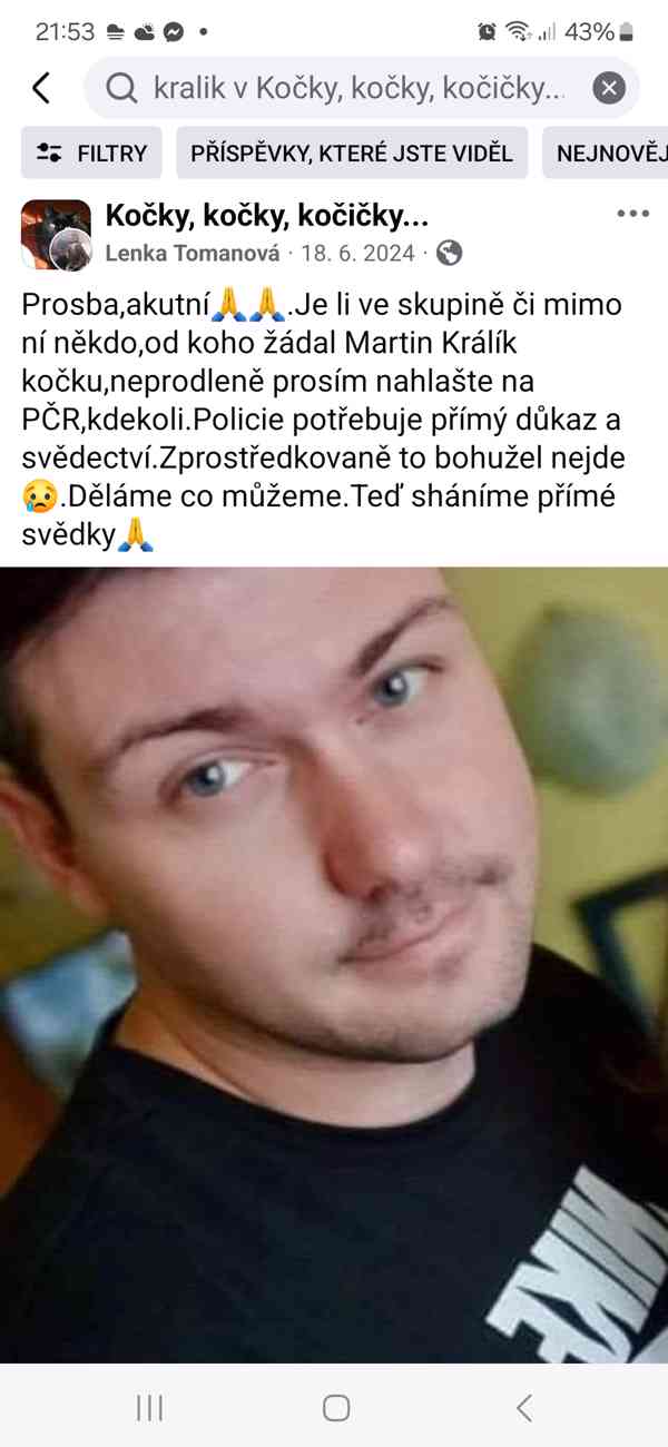 Koťata  - foto 3