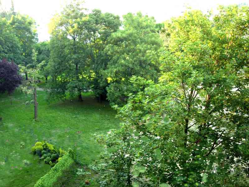 Pronajmu novostavbu 2+kk Slavkov u Brna, 62 m2 - foto 7