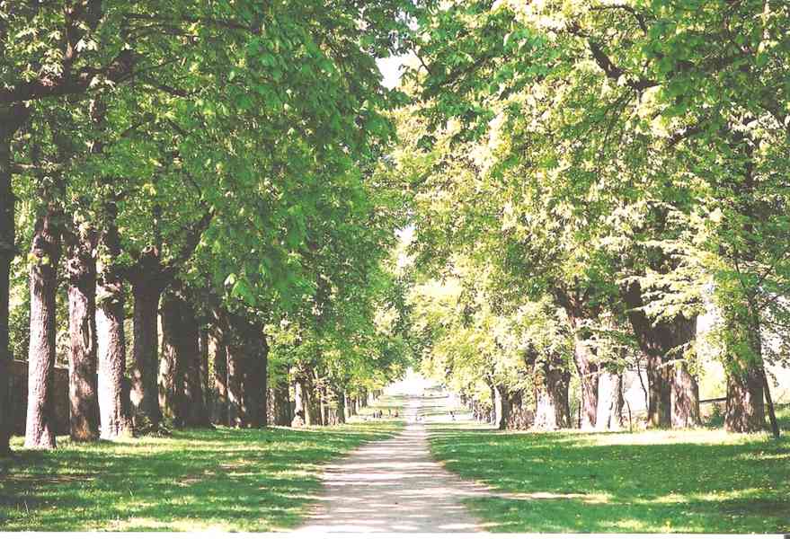 Pronajmu novostavbu 2+kk Slavkov u Brna, 62 m2 - foto 19