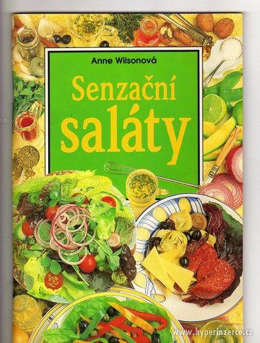 Anne Wilsonová  Senzační saláty - Levná kuchařka - foto 2