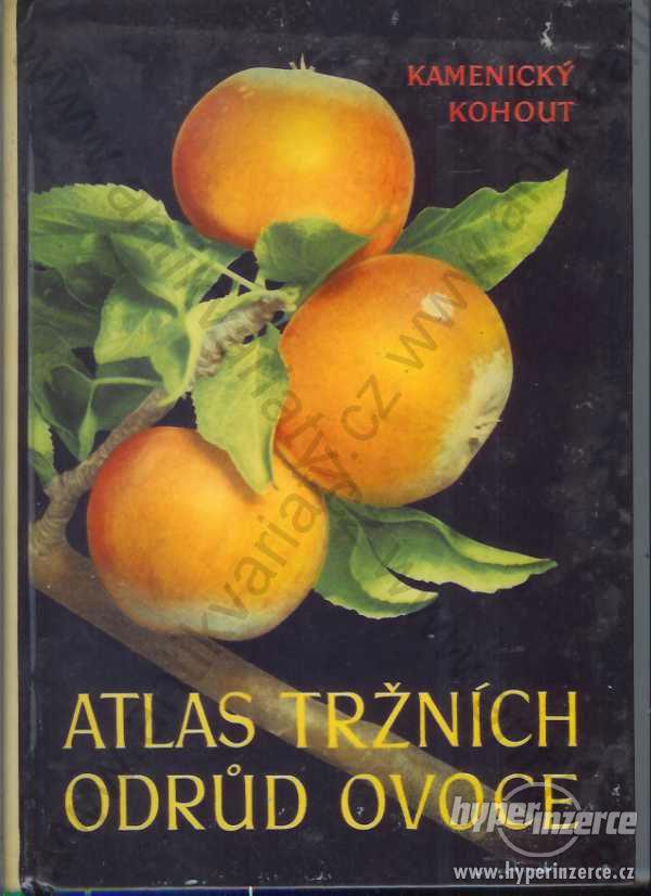 Atlas tržních odrůd ovoce 1957 - foto 1