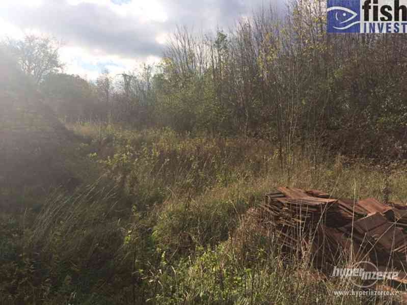 Prodej rodinného domu 315 m², pozemek 1 495 m² Dlouhá Loučka - foto 6