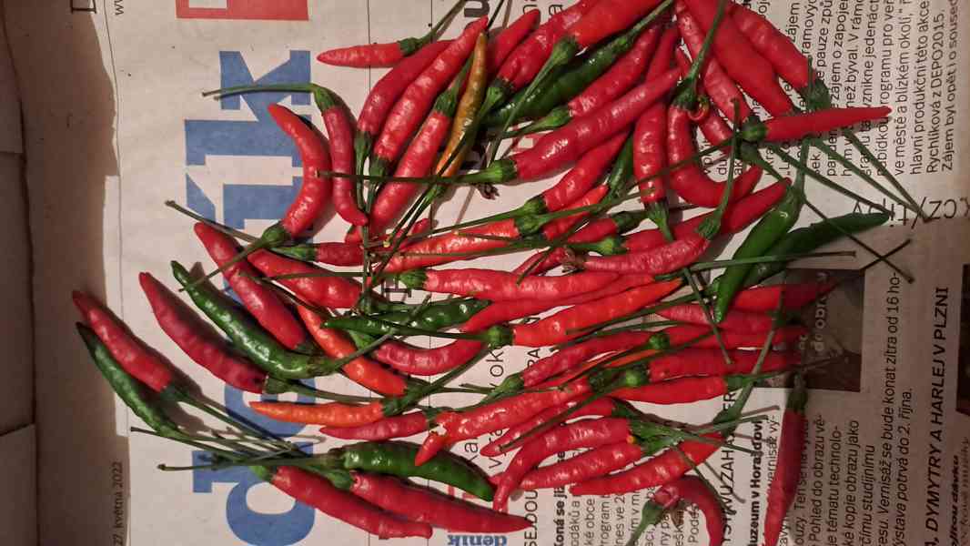 Chilli papričky semínka 5 druhů - foto 6