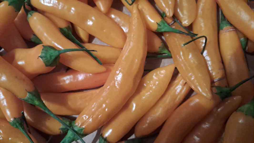 Chilli papričky semínka 5 druhů - foto 4