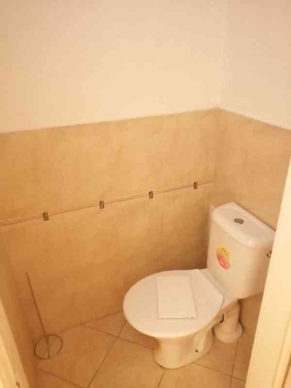 Pronájem 2+1, ulice Dornych, centrum (u Vaňkovky), 85 m2, ko - foto 8