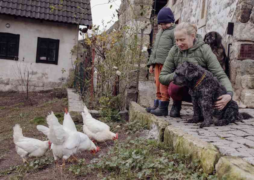 FILÍPEK - 15 kg, kastrovaný psík 12 let  - foto 7