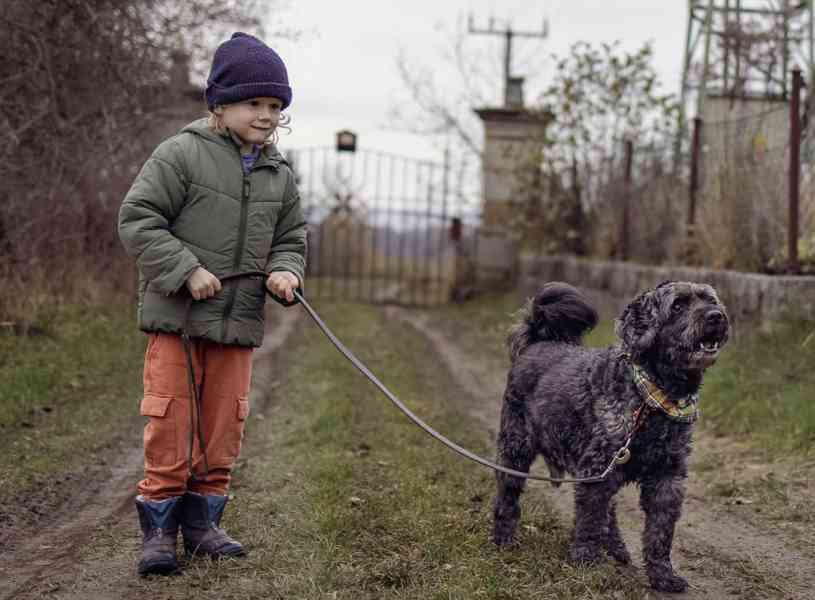 FILÍPEK - 15 kg, kastrovaný psík 12 let  - foto 4