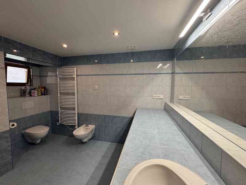 PRONÁJEM RODINNÉHO DOMU 3,5/4+KK S TERASOU V ČEBÍNĚ - foto 9