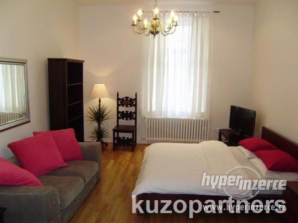 Pronájem bytu - krásný, kompletně zařízený byt 1+1, 45m2, Praha 1 - Nové Město, ulice Biskupská