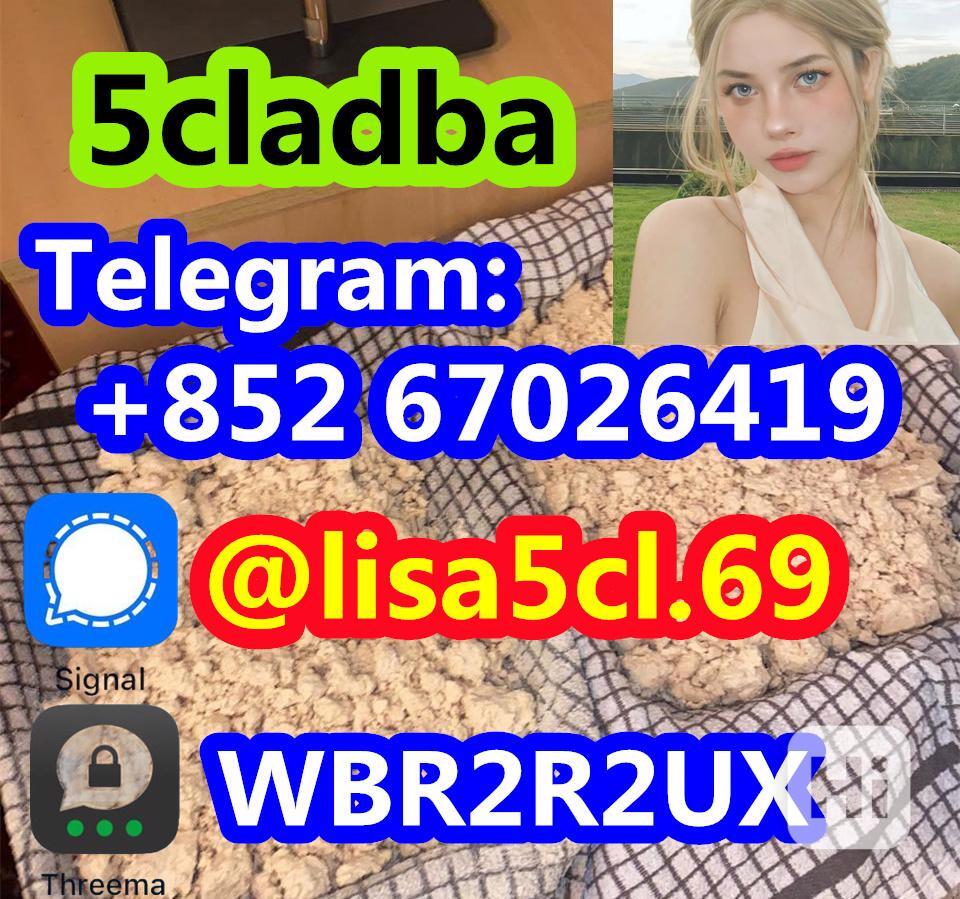 5CL-ADB supplier 5cladba 5cladb vendor on sale - foto 1