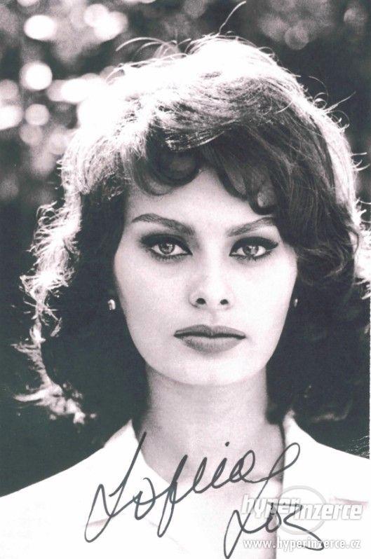 Sophia Loren autogram - foto 1