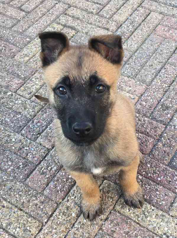 K rozdání zdarma  - foto 3