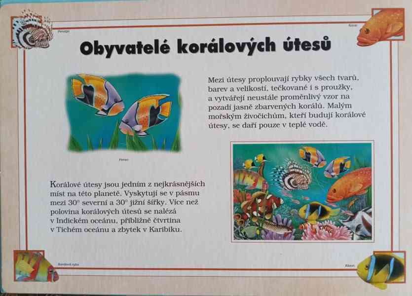 Dětské puzzle - foto 7
