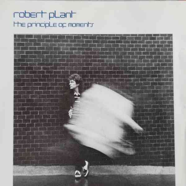 CD - ROBERT PLANT / The Principle Of Moments - foto 1