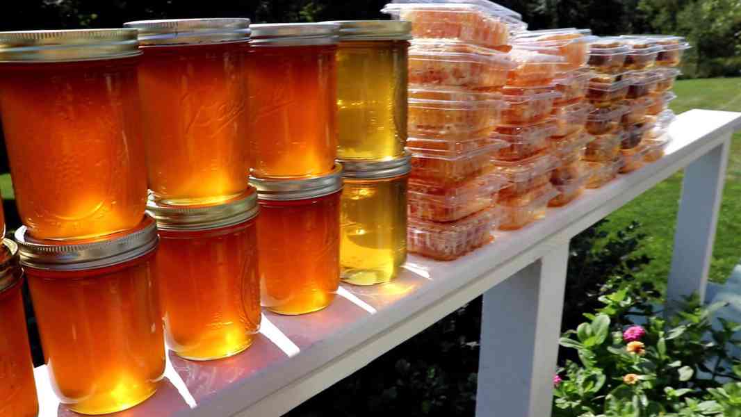 Top Quality Raw honey for sale  - foto 1