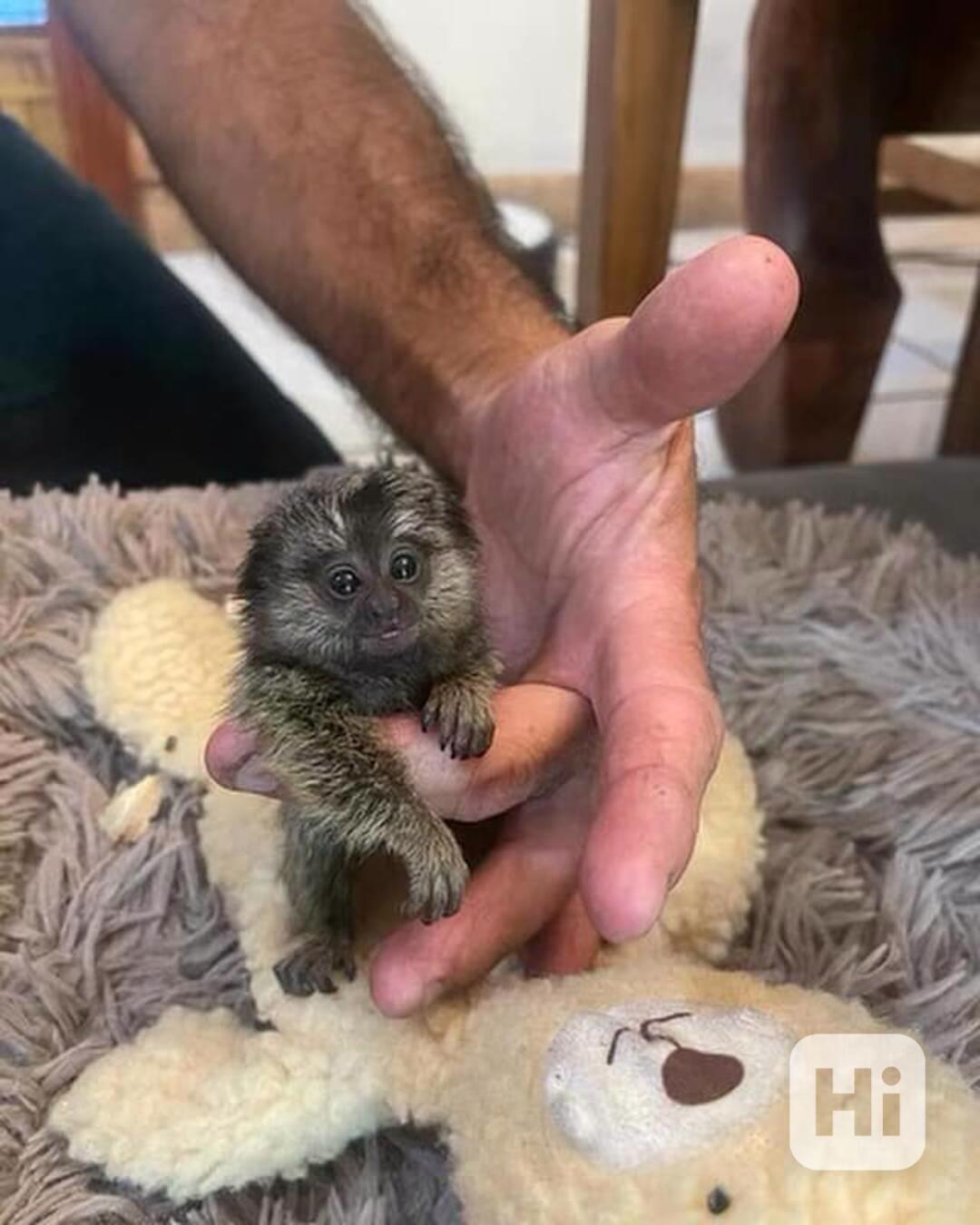 Máme k dispozici širokou škálu kosmanů - foto 1