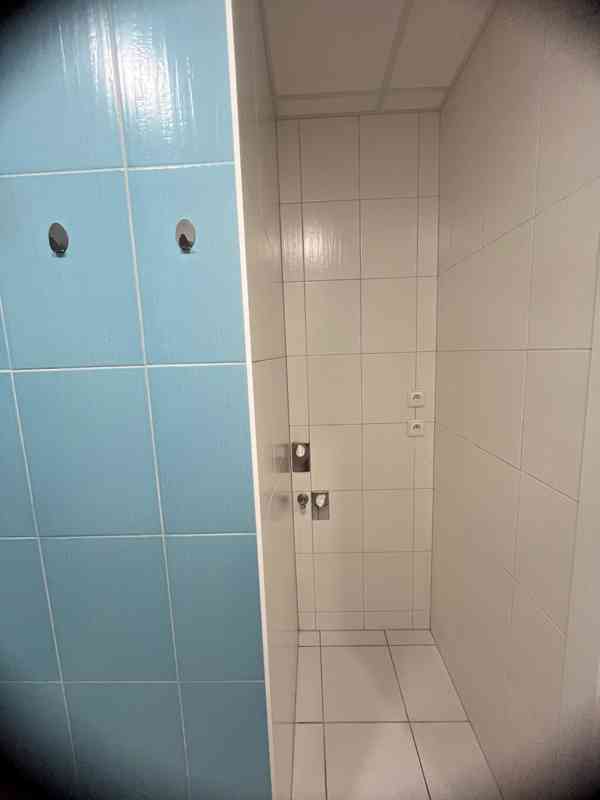 Pronajmu byt 3+1 KADAŇ - foto 12