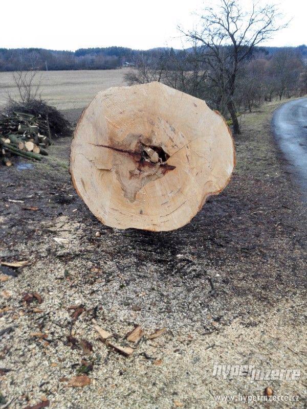 Lipové dřevo (kmen) - pro řezbáře - foto 1