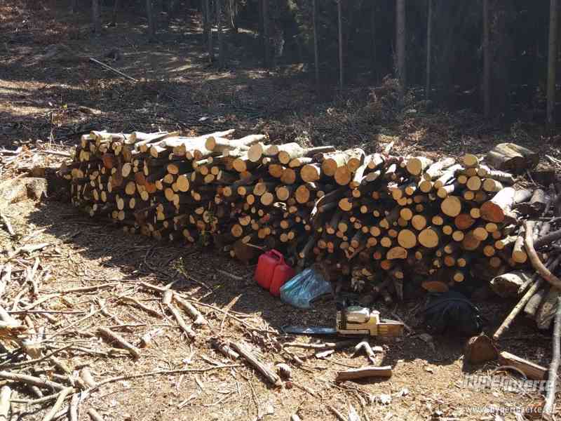 Palivové dřevo Tvrdé 1000kč/prm - foto 1