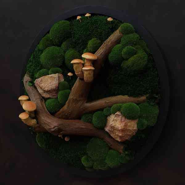 Mechový obraz / obraz ze stabilizovaného mechu - foto 3