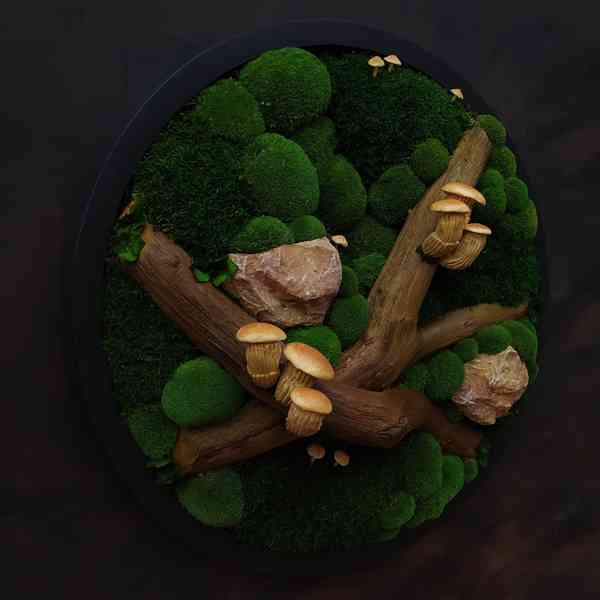 Mechový obraz / obraz ze stabilizovaného mechu - foto 2