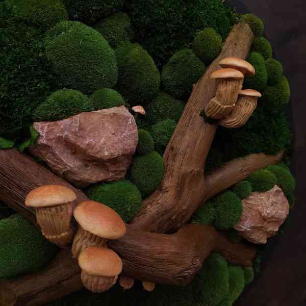 Mechový obraz / obraz ze stabilizovaného mechu - foto 5