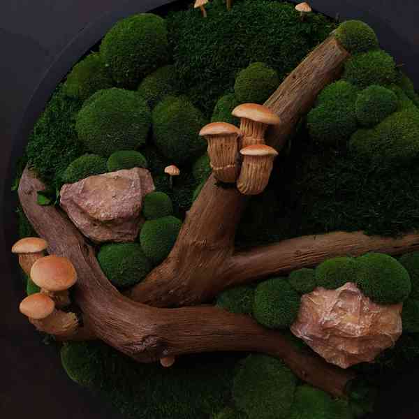 Mechový obraz / obraz ze stabilizovaného mechu - foto 4