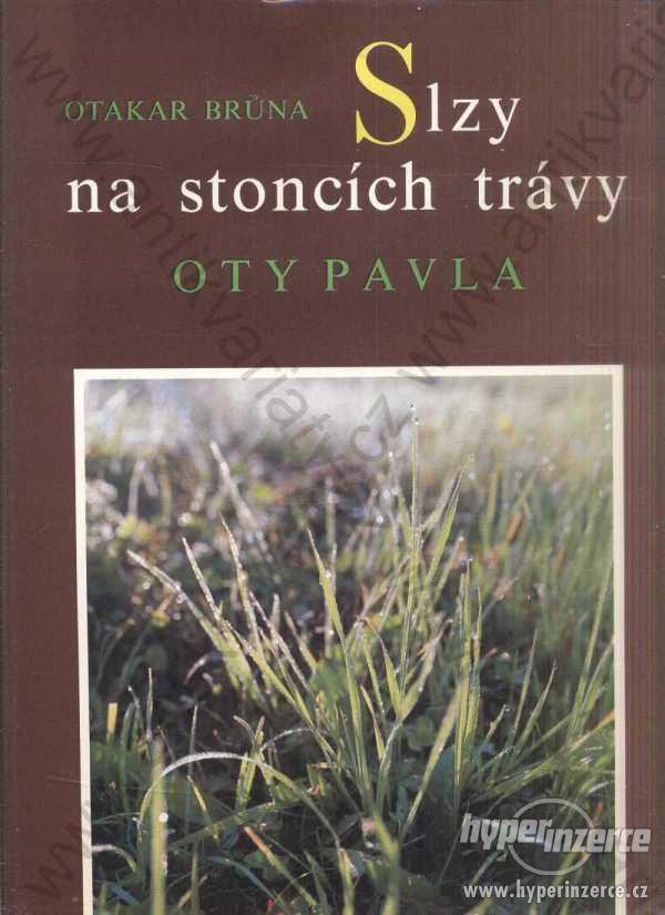 Slzy na stoncích trávy Oty Pavla Brůna Fiala 1990 - foto 1