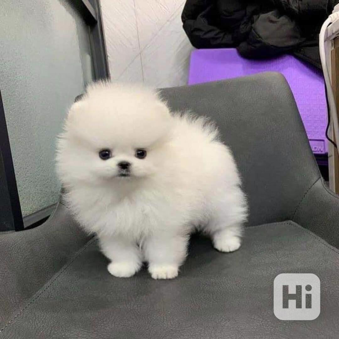 Pomořansko - foto 1