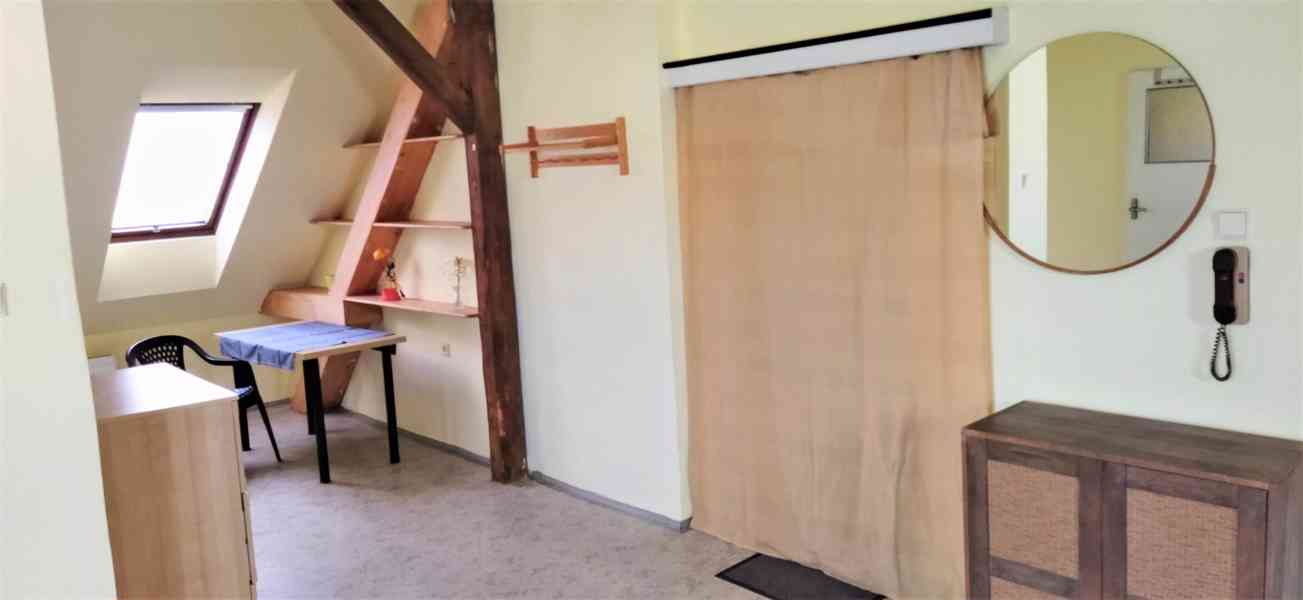 Byt 1+1, 55 m2, pračka, 1-2 mladé osoby (stud./prac.) - foto 7