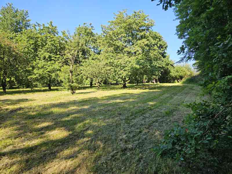 Prodej pozemku Krmelín - foto 2