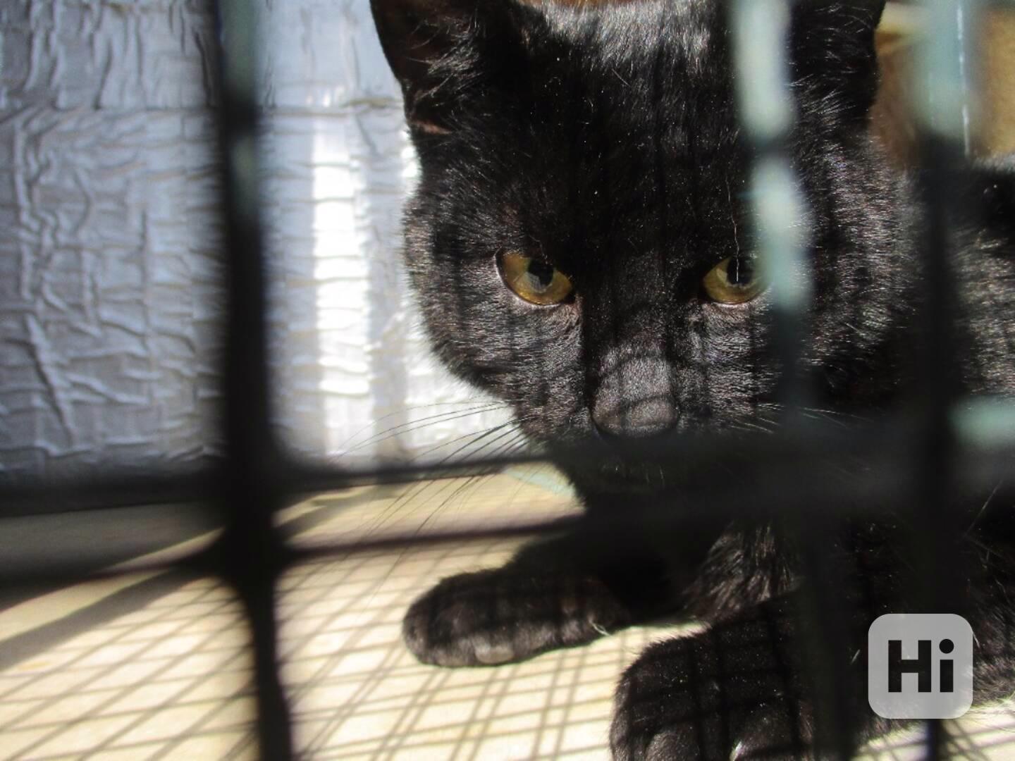 Pan Čerrný - foto 1