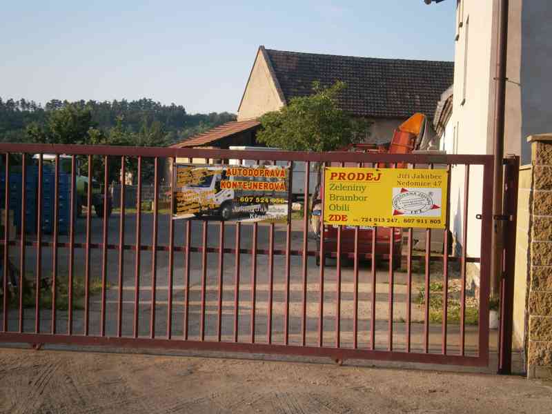 krmné brambory - foto 2