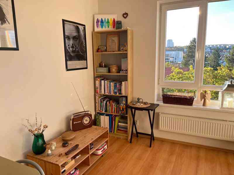 Pronájem bytu - foto 13