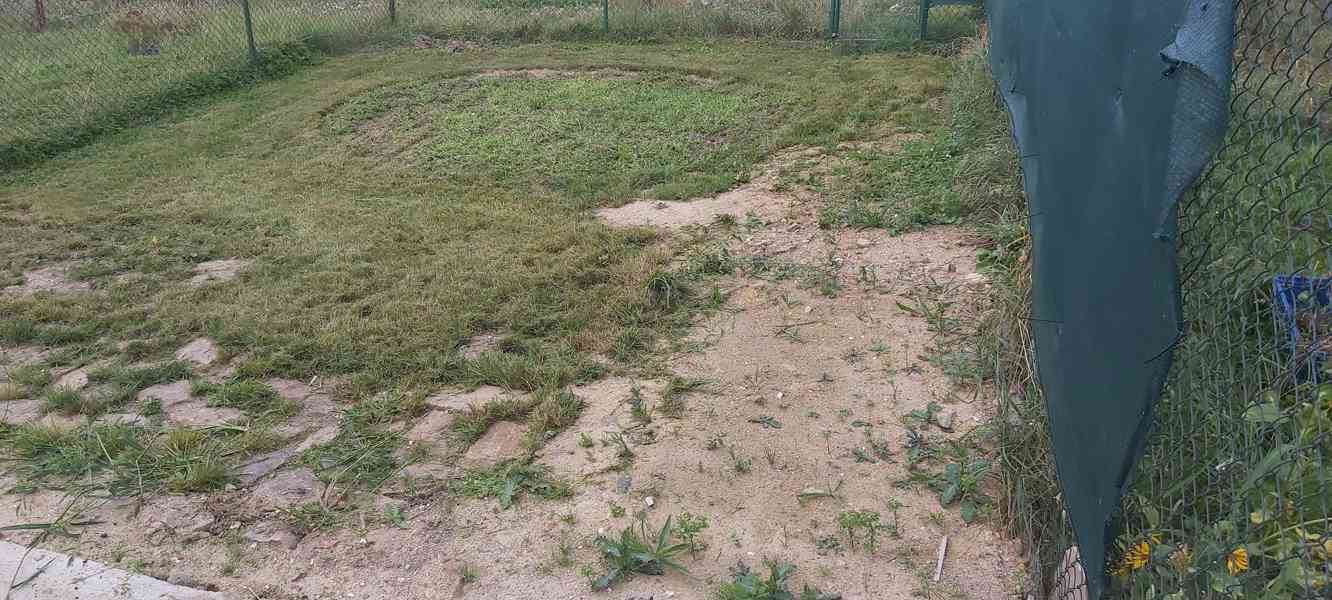 Pronájem zděné stavby a oplocené části zahrady –  Rokycany - foto 8