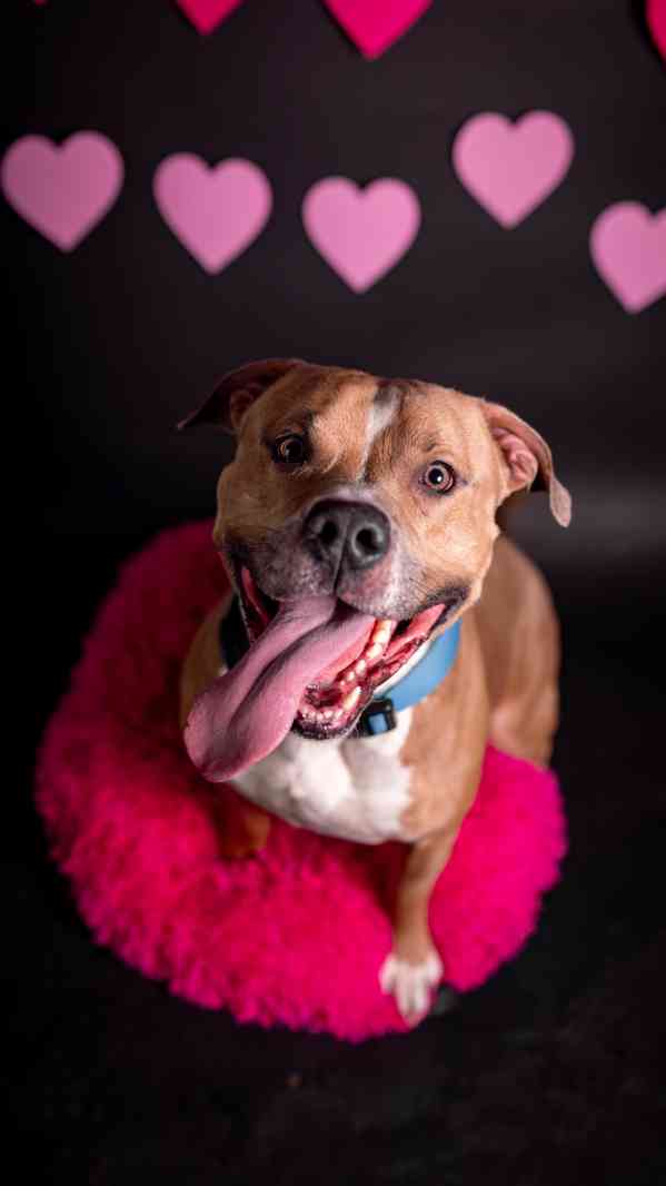 Chiro - x bull, aktivní kluk, 3 roky - foto 3