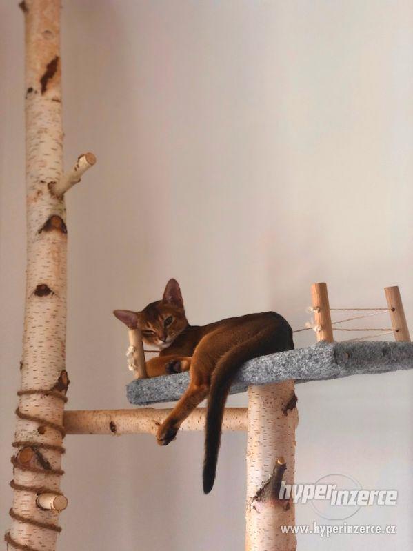 Výroba Designových Stromů Pro Kočky - foto 5