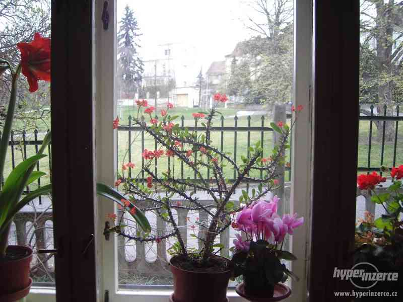 Pronájem bytu 2+1 v RD sauna, terasa, balkon Záběhlice-Spoři - foto 6