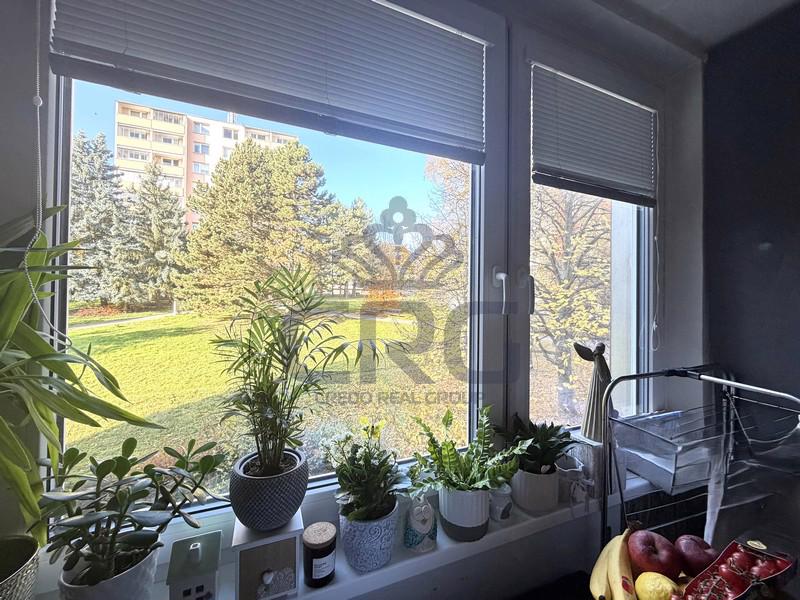 PRODEJ OV 1+1 S BALKÓNEM,  BRNO – KOHOUTOVICE - foto 3