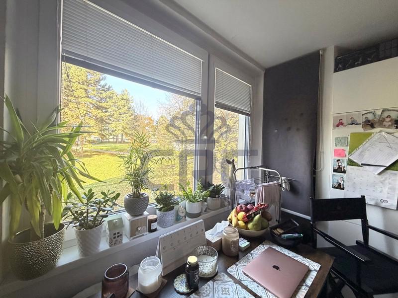 PRODEJ OV 1+1 S BALKÓNEM,  BRNO – KOHOUTOVICE - foto 2