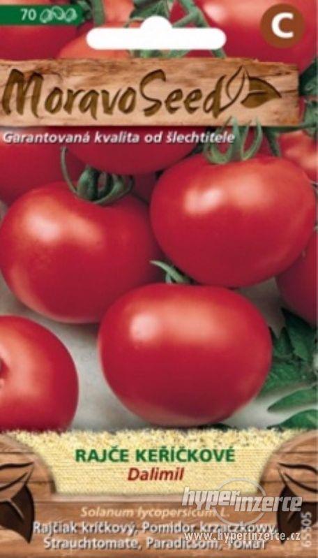 Rajče keříčkové - Dalimil (semena) www.levna-semena.cz - foto 1